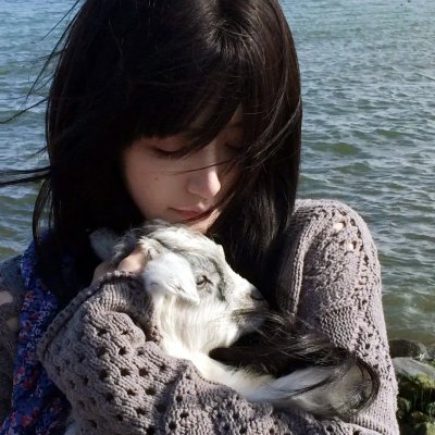 鬣狗式生存日版